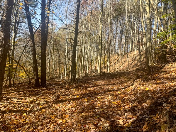 The Ponds at Poplar Ridge – Tract 2 property photo