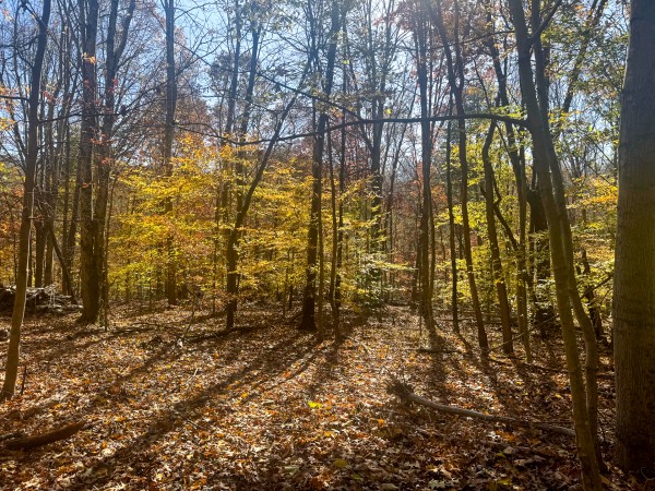The Ponds at Poplar Ridge – Tract 2 property photo