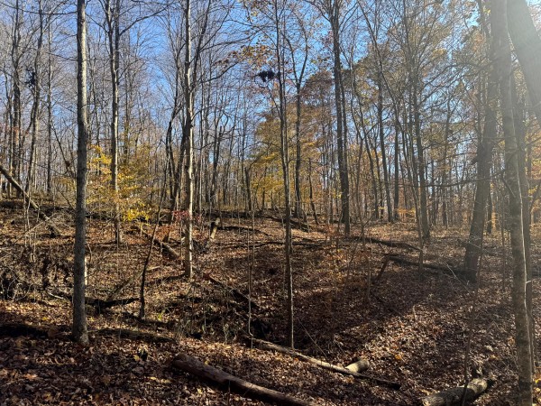 The Ponds at Poplar Ridge – Tract 10 property photo