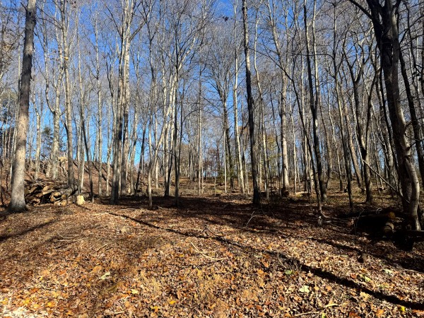The Ponds at Poplar Ridge – Tract 10 property photo