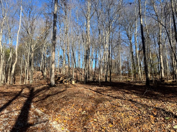 The Ponds at Poplar Ridge – Tract 10 property photo