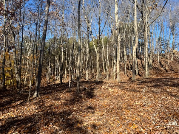The Ponds at Poplar Ridge – Tract 10 property photo