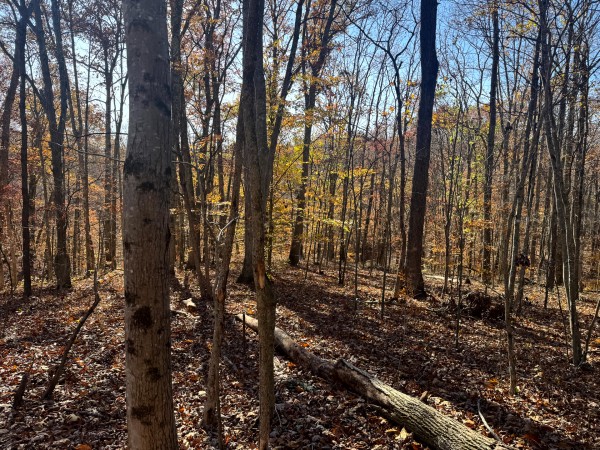 The Ponds at Poplar Ridge – Tract 10 property photo