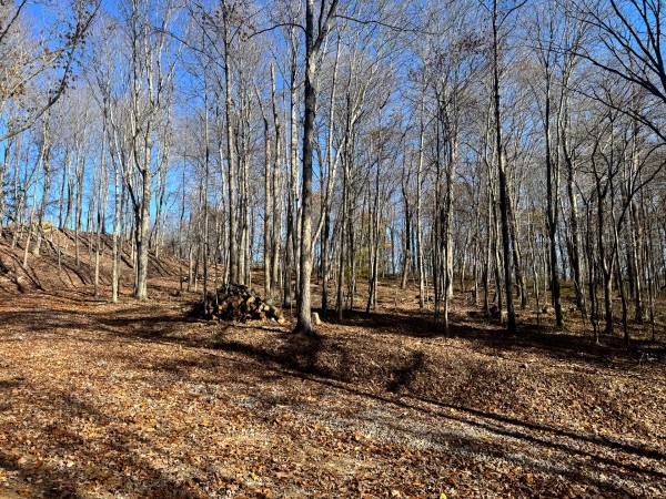The Ponds at Poplar Ridge – Tract 10 property photo
