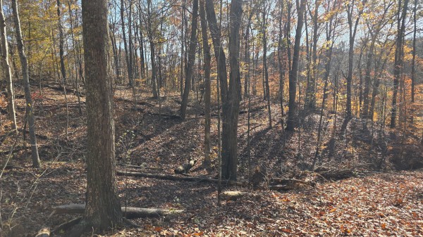 The Ponds at Poplar Ridge – Tract 10 property photo