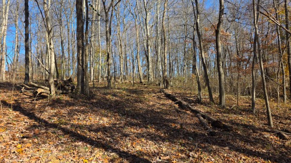 The Ponds at Poplar Ridge – Tract 10 property photo