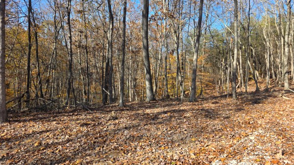 The Ponds at Poplar Ridge – Tract 10 property photo