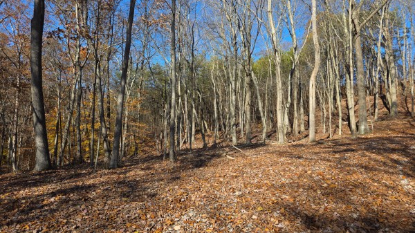 The Ponds at Poplar Ridge – Tract 10 property photo