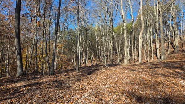The Ponds at Poplar Ridge – Tract 10 property photo