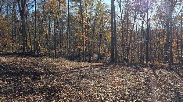 The Ponds at Poplar Ridge – Tract 10 property photo