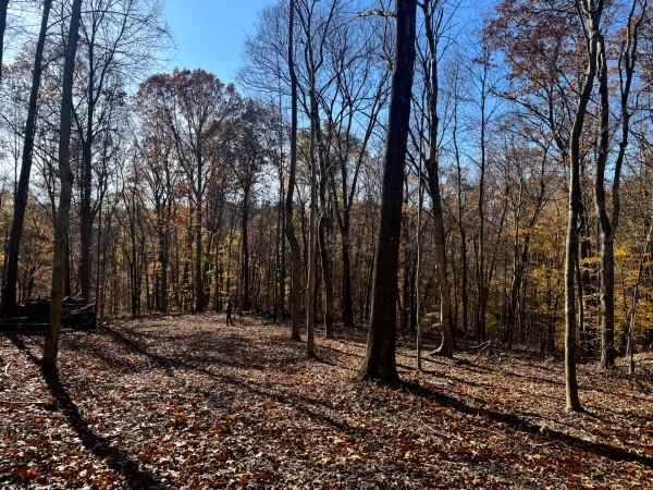 The Ponds at Poplar Ridge – Tract 10 property photo