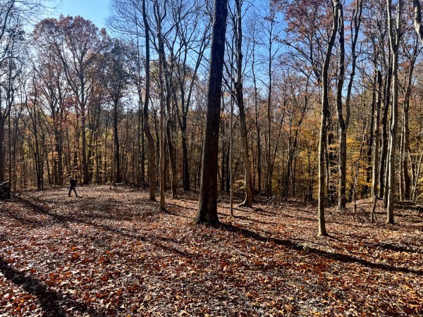 The Ponds at Poplar Ridge – Tract 10 property photo