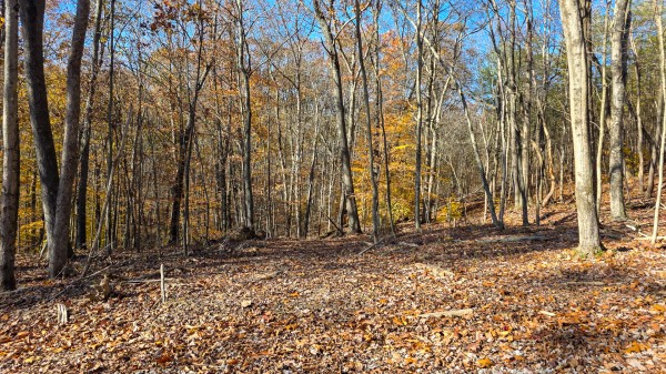 The Ponds at Poplar Ridge – Tract 10 property photo