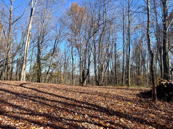 The Ponds at Poplar Ridge – Tract 10 property photo