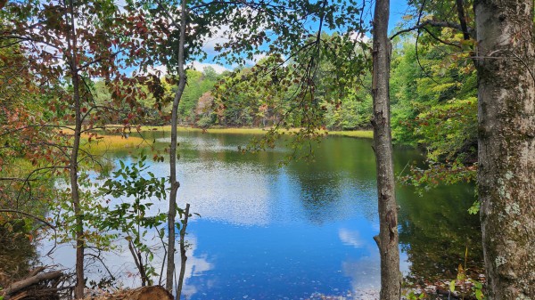 More of The Ponds at Poplar Ridge – Tract 10