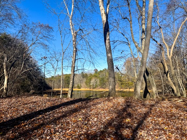 The Ponds at Poplar Ridge – Tract 10 property photo