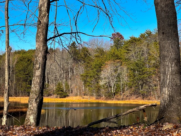The Ponds at Poplar Ridge – Tract 10 property photo