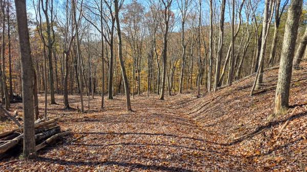 The Ponds at Poplar Ridge – Tract 10 property photo