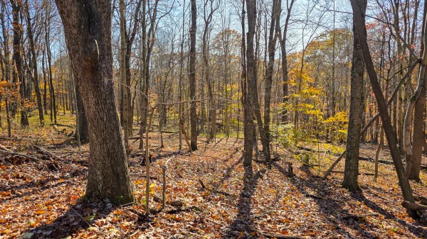The Ponds at Poplar Ridge – Tract 10 property photo