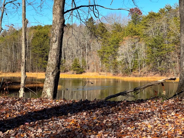 The Ponds at Poplar Ridge – Tract 10 property photo