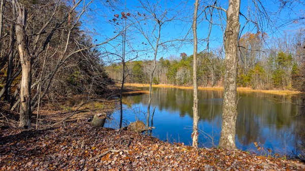 The Ponds at Poplar Ridge – Tract 10 property photo