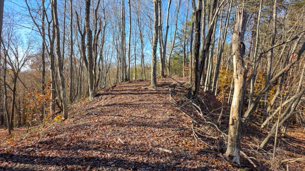 The Ponds at Poplar Ridge – Tract 10 property photo