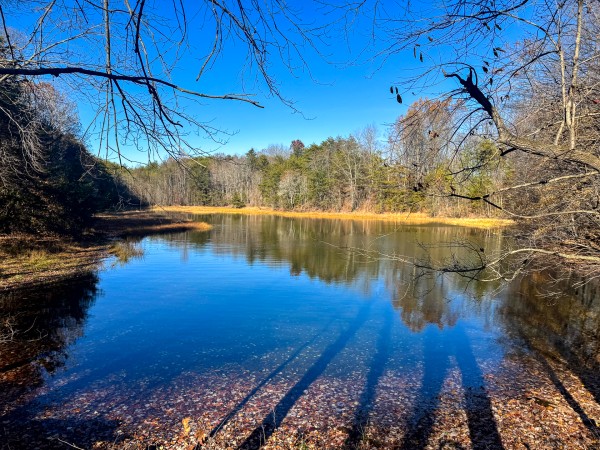 The Ponds at Poplar Ridge – Tract 10 property photo