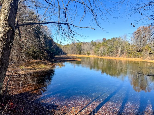 The Ponds at Poplar Ridge – Tract 10 property photo