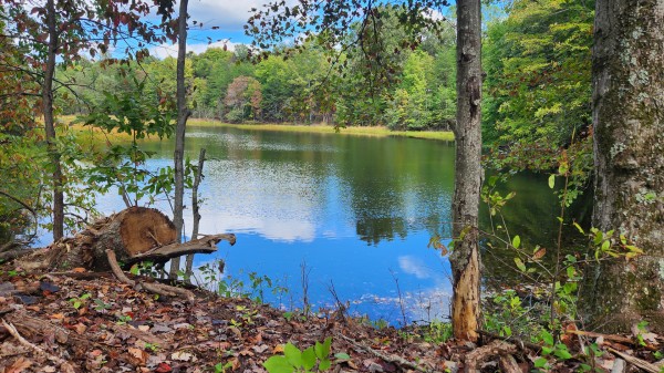 More of The Ponds at Poplar Ridge – Tract 10