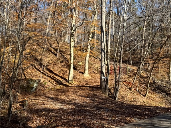 More of The Ponds at Poplar Ridge – Tract 10
