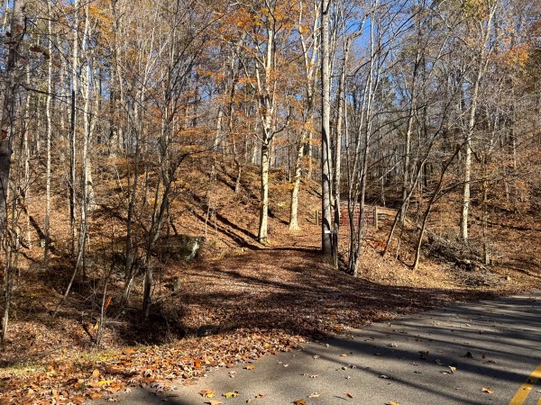 More of The Ponds at Poplar Ridge – Tract 10