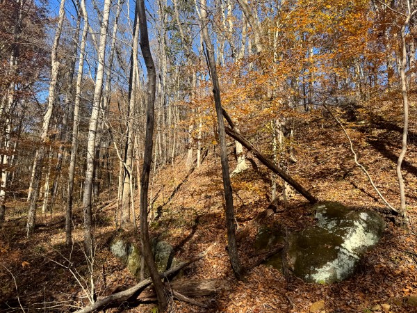 More of The Ponds at Poplar Ridge – Tract 10