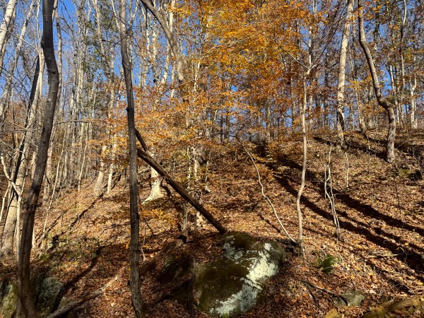 The Ponds at Poplar Ridge – Tract 10 property photo