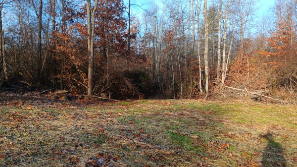 Turkey Run Barndominium property photo