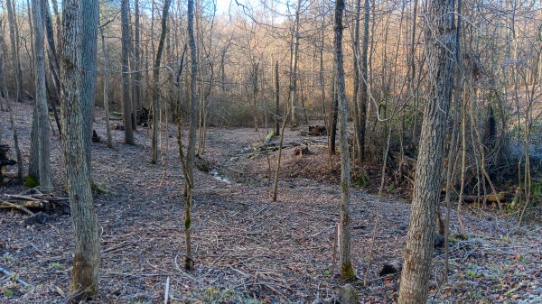 Turkey Run Barndominium property photo
