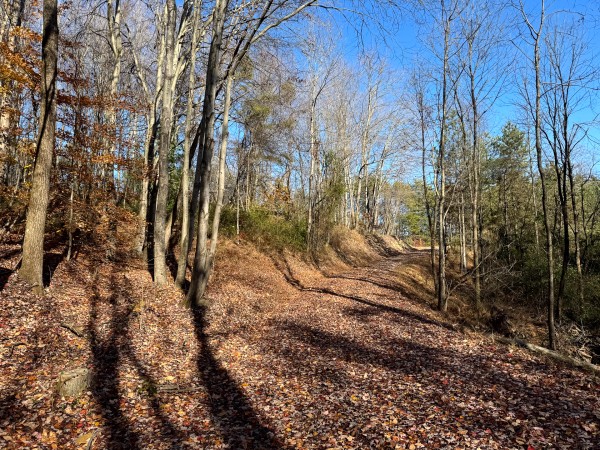 The Ponds at Poplar Ridge – Tract 14 property photo