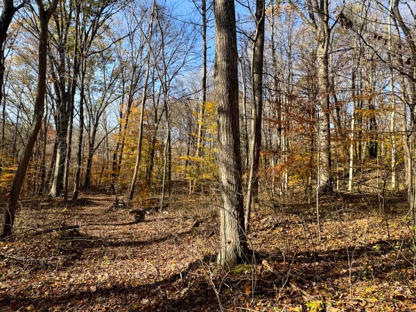 The Ponds at Poplar Ridge – Tract 14 property photo