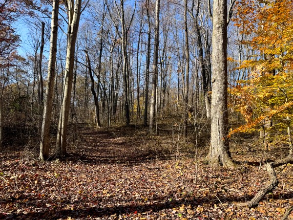 The Ponds at Poplar Ridge – Tract 14 property photo