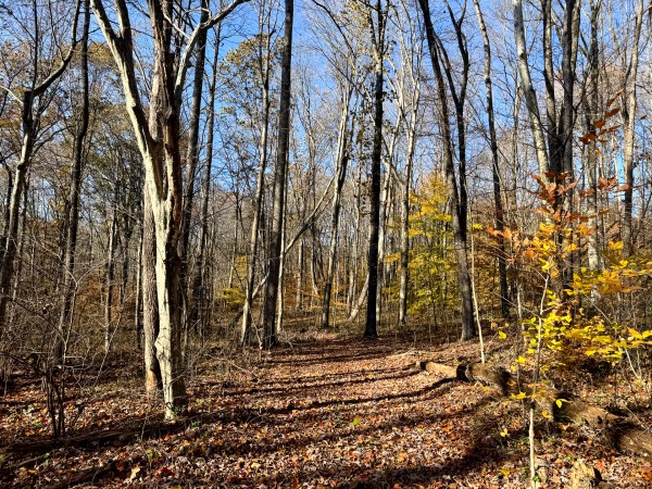The Ponds at Poplar Ridge – Tract 14 property photo