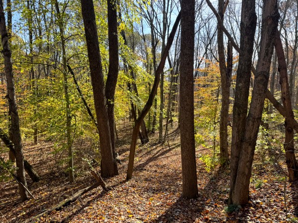 The Ponds at Poplar Ridge – Tract 14 property photo