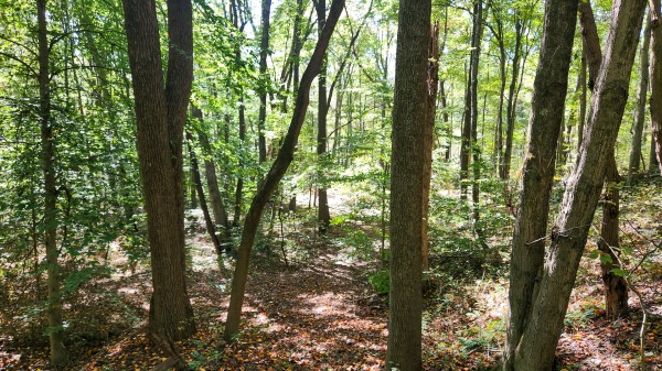 The Ponds at Poplar Ridge – Tract 14 property photo
