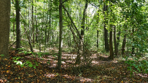 The Ponds at Poplar Ridge – Tract 14 property photo