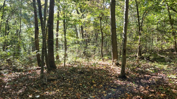 The Ponds at Poplar Ridge – Tract 14 property photo