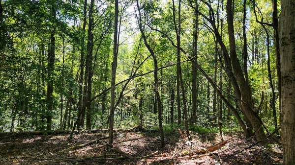 The Ponds at Poplar Ridge – Tract 14 property photo