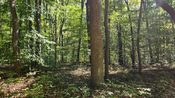 The Ponds at Poplar Ridge – Tract 14 property photo