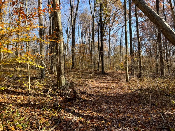 The Ponds at Poplar Ridge – Tract 14 property photo