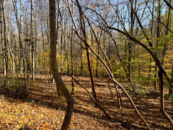 The Ponds at Poplar Ridge – Tract 14 property photo