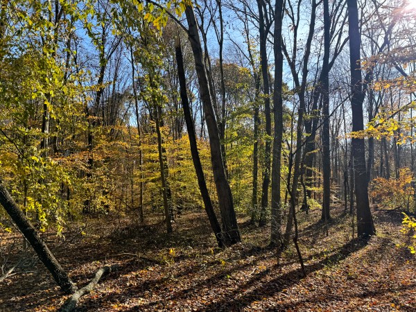 The Ponds at Poplar Ridge – Tract 14 property photo