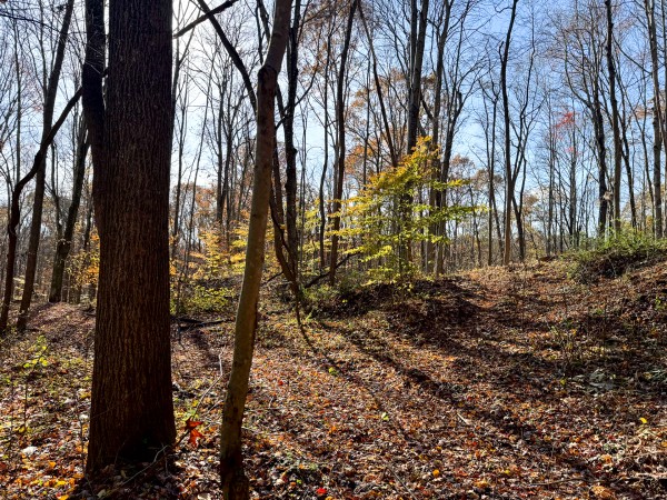 The Ponds at Poplar Ridge – Tract 14 property photo