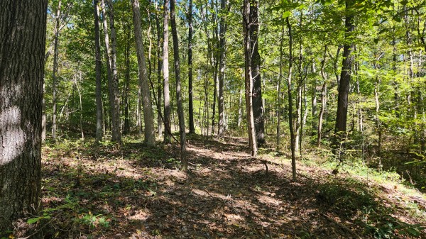The Ponds at Poplar Ridge – Tract 14 property photo